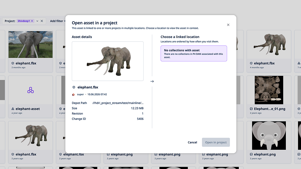 P4 DAM asset previewing experience showing open asset in a project