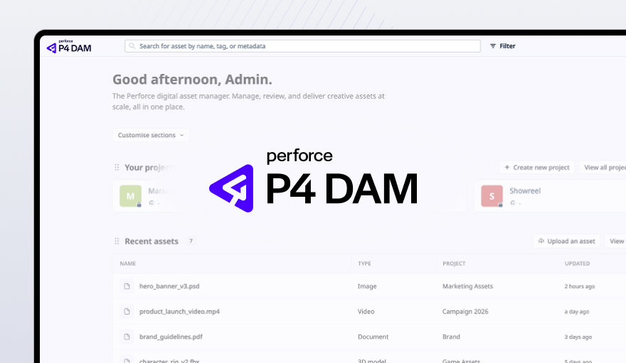 Case study: Owning product design for P4 DAM