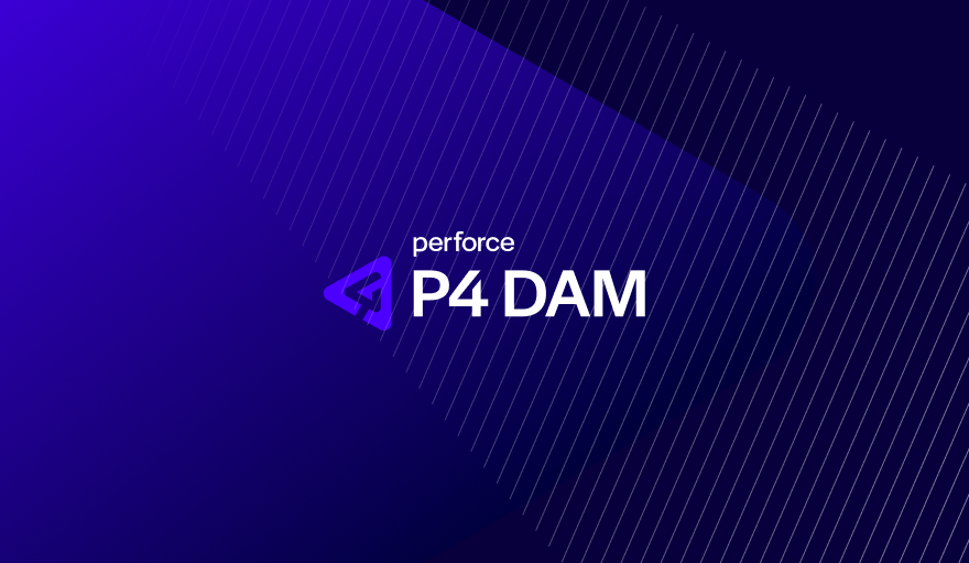 Case study: Owning the design direction of P4 DAM